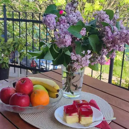 Marco Art For 1- 8 Persons 3* Marko